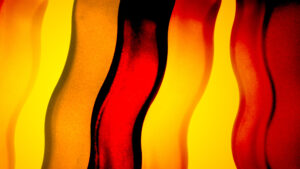 Marché de Noël de Sens, marché artisanal et gourmand en décembre