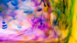 Fête de la Saint-Antoine à La Garde-Freinet