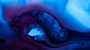 Festival international du film d’animation à Chaumont