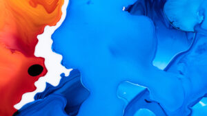 Marché de la Truffe de Bar-sur-Seine, spécialité gastronomique locale