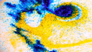 Fête de la Saint-Jean à Nice, célébration traditionnelle en juin