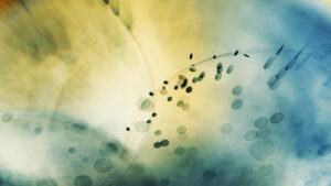 Développement des activités de tourisme rural en Guyane