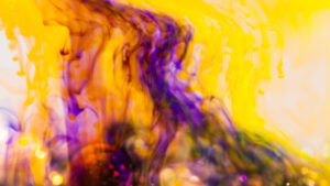 Château de Hautefort, musée et parc à thème botanique