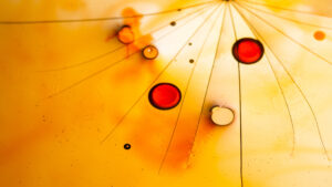 Festival de théâtre de rue à Lannion, spectacles et performances en plein air