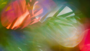 Festival de l’Oh à Cergy, événement musical et familial annuel